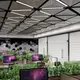 Metal Canopies